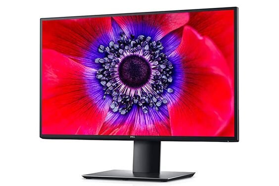 Màn hình Dell U2520D (Ảnh 5)