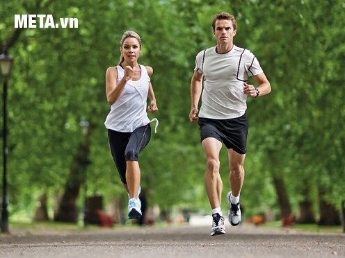 Máy chạy bộ điện Viking Sports VK-66AD