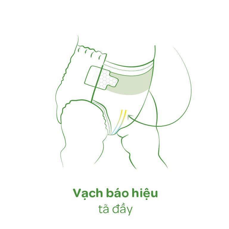 Vach bao hieu ta day