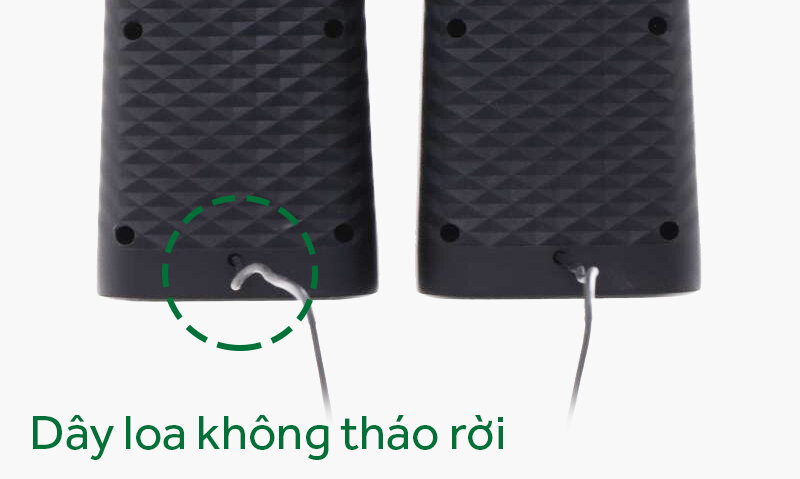 Loa vi t Loa vi t