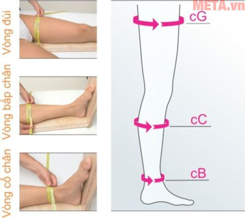 Vớ y khoa gối cao cấp Mediven Comfort - Vớ Gối