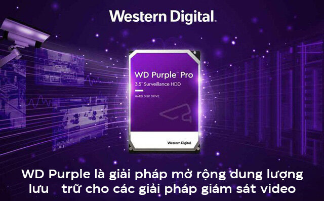 Ổ cứng HDD WD Purple Pro