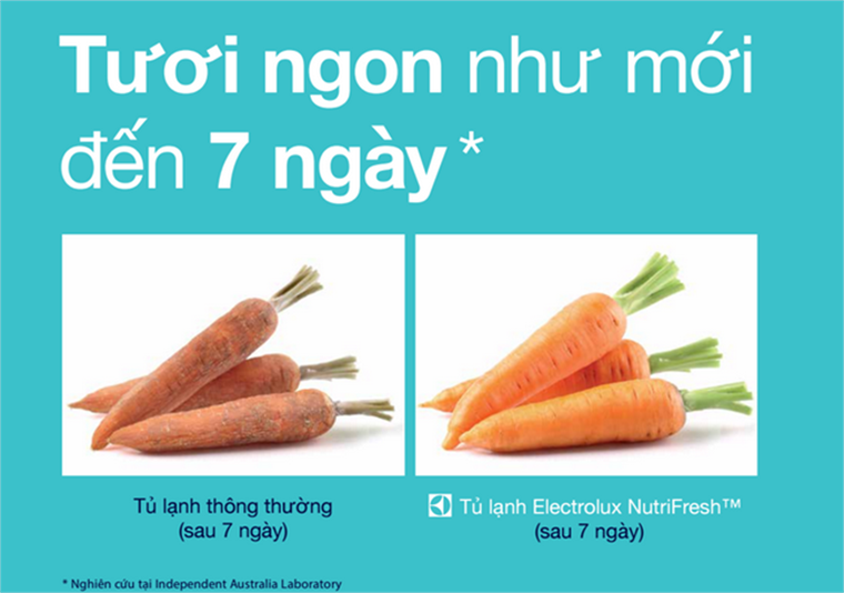 Tủ lạnh 3 cánh Electrolux EME2600MG-RVN 283 Lít