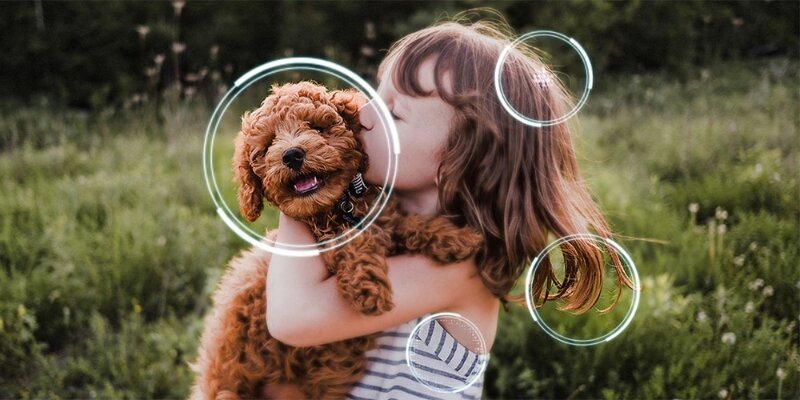 Smart tivi Samsung Neo QLED 4K 75 inch QA75QN90F