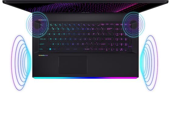 MSI Gaming Raider GE77HX 12UHS-229VN (ảnh 8)