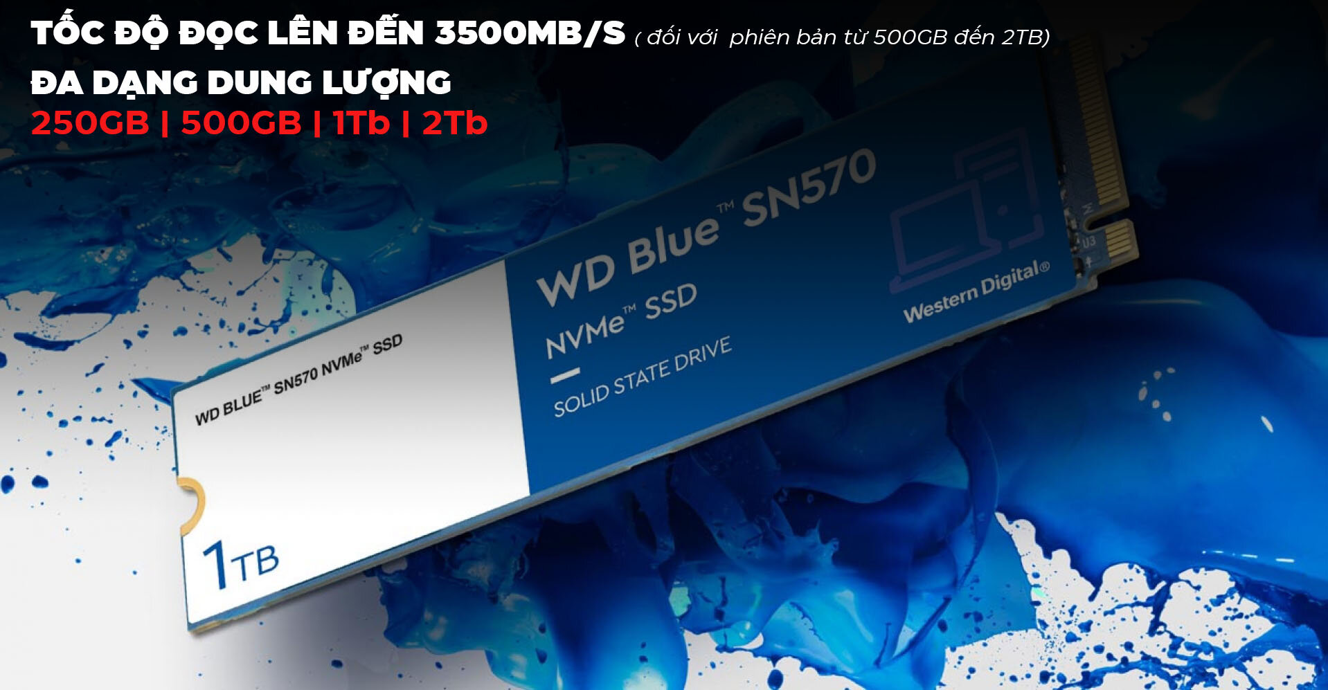 Ổ cứng SSD WD SN570 Blue