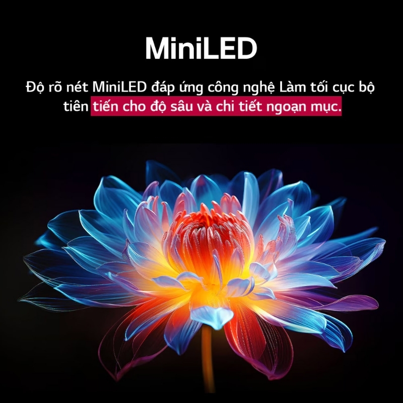 Smart Tivi QNED Evo MiniLED LG 4K 65 inch 65QNED9MASA 3 Smart Tivi QNED Evo MiniLED LG 4K 65 inch 65QNED9MASA