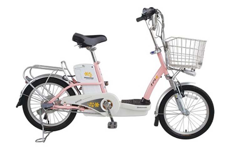 Xe đạp điện Bridgetone SLI 48