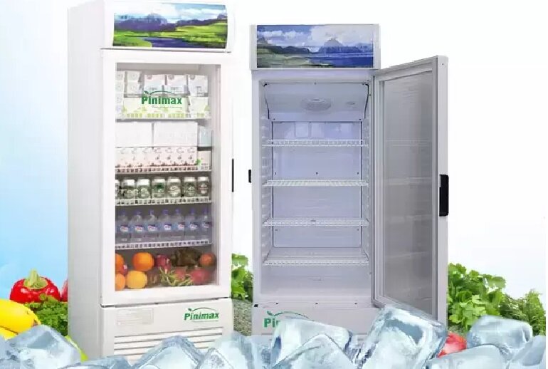 Tủ mát Pinimax PNM-309KL 300 lít