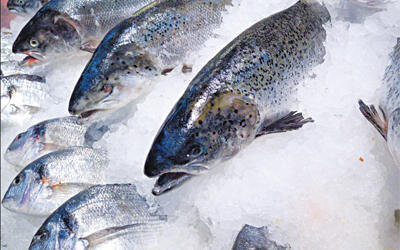 Tủ lạnh 5 cánh 529 Lít Hitachi R-E5000V (XK)