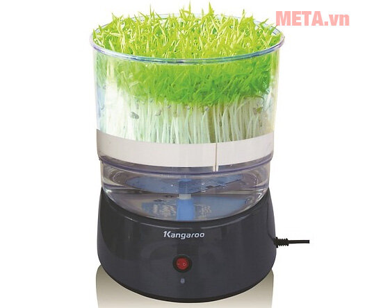 Máy làm rau mầm Kangaroo KG-261