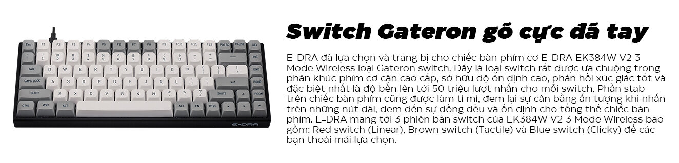 Bàn phím cơ không dây Edra EK384W V2 (USBC/PBT/Bluetooth/3mode)