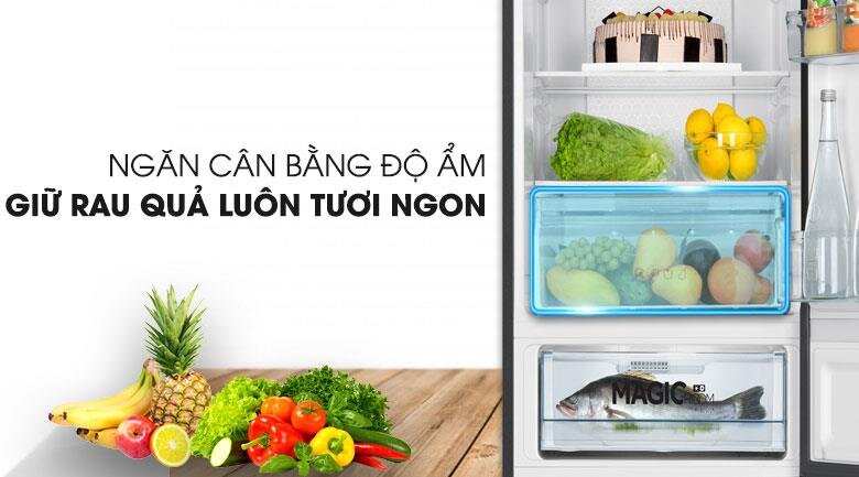 Tủ lạnh Aqua AQR-IG338EB(GB) - 292L Inverter