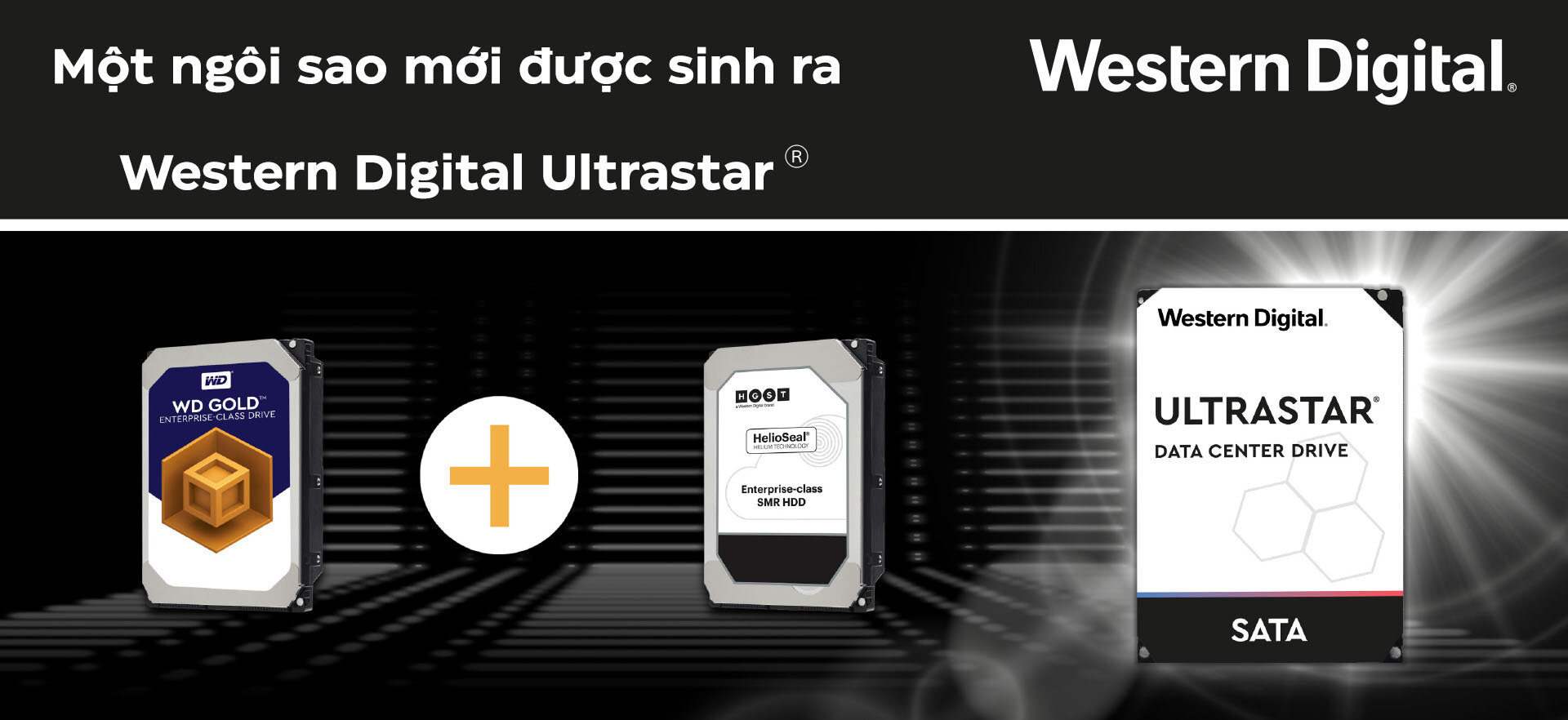 Ổ cứng HDD WD Enterprise Ultrastar DC HC520 12TB/3.5inch/7200rpm/Sata/256MB - HUH721212ALE604