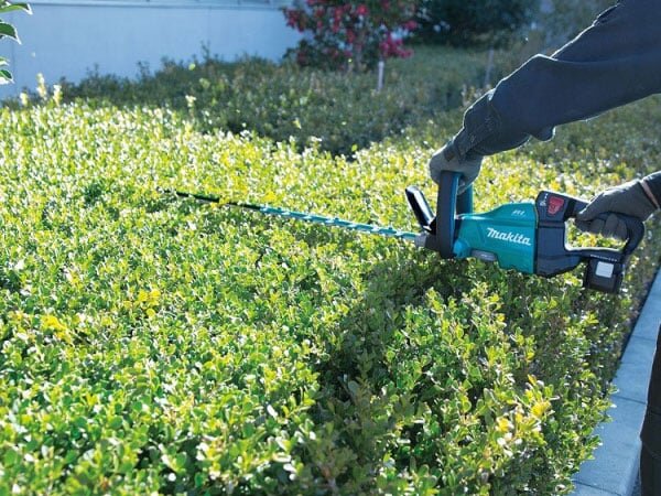 Máy tỉa hàng rào 