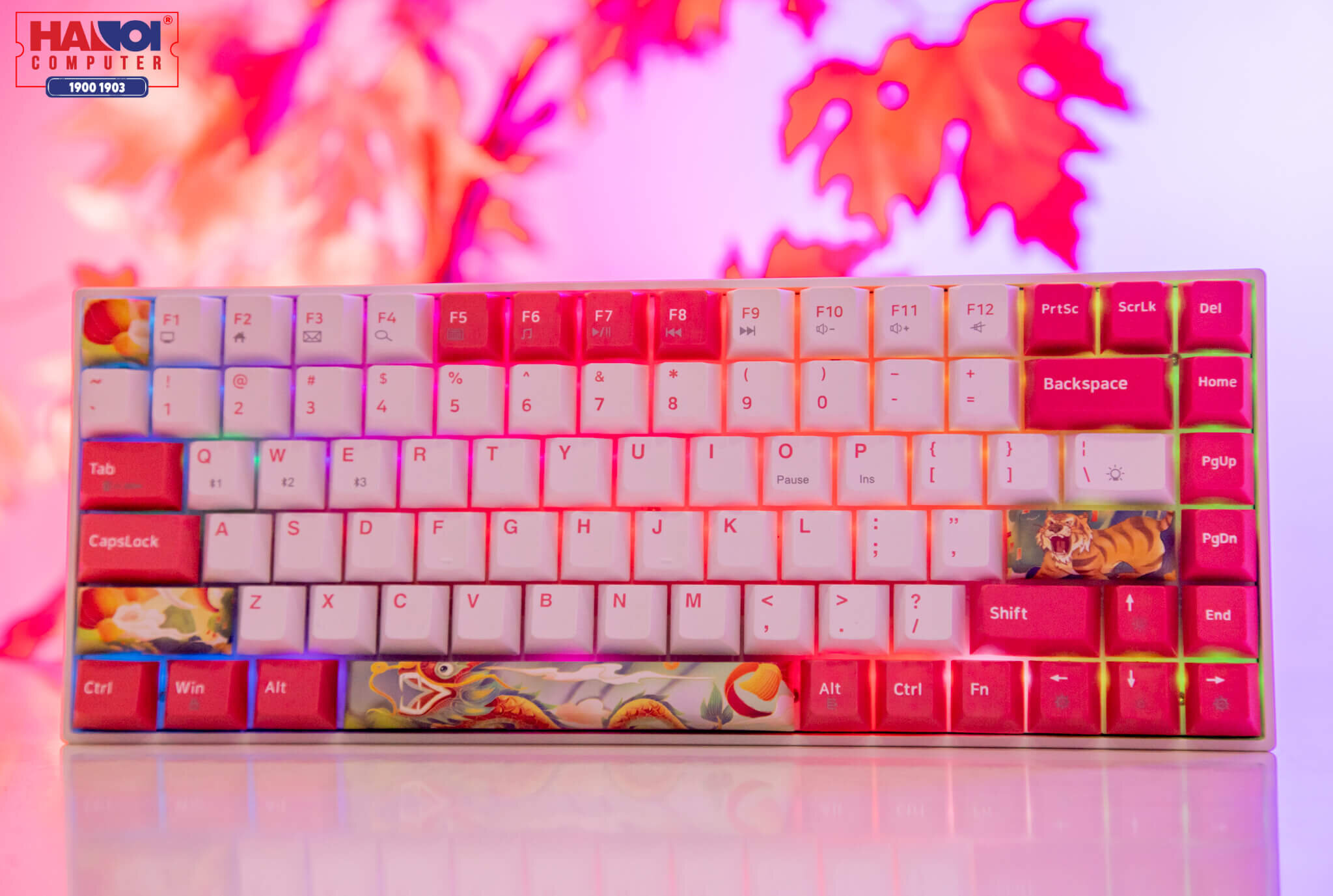 Bàn phím cơ không dây Newmen GM840 Dual Mode Blue sw (USBC/Bluetooth/2000mAh/RGB/Hot swap/Outemu sw) 6