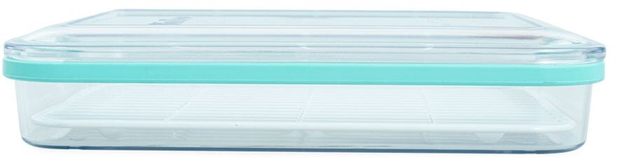 hộp bảo quản thực phẩm ngăn đông 