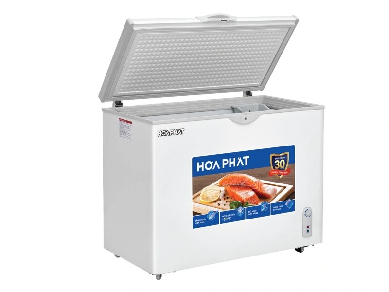 Tủ đông Hòa Phát 1 ngăn 252 lít HPF AN6252