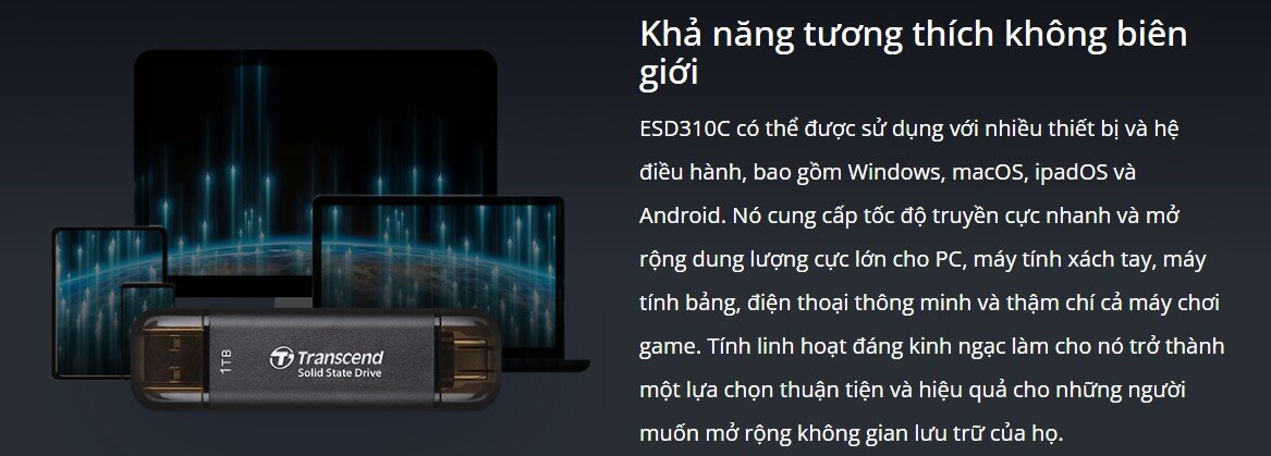  cứng di động Portable SSDTranscend ESD310C USB 3.2 Gen 2x1
