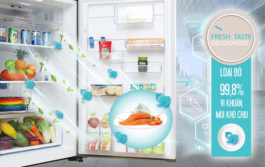 Tủ lạnh Electrolux 426 lít ETB4602GA Tủ lạnh Electrolux 426 lít ETB4602GA