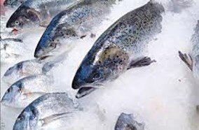 Lò vi sóng SANYO EM-G206AW