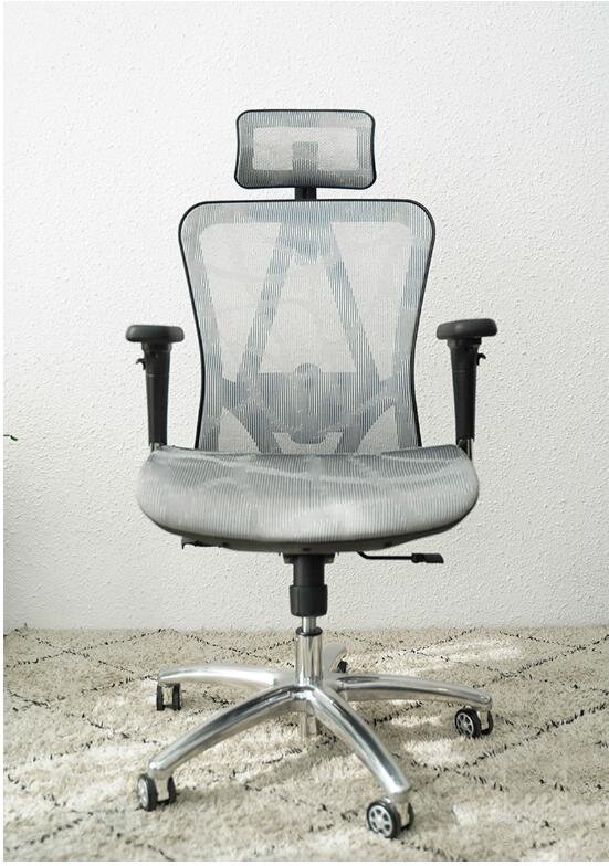 Ghế Công Thái Học E-Dra EEC215 Black ảnh 1