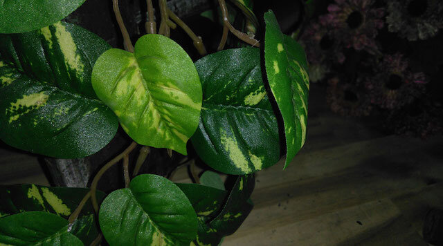 Điện thoại ZTE Blade D Lux