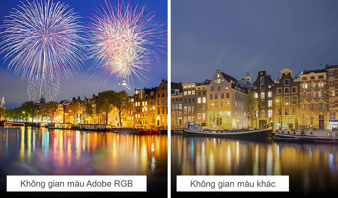 Màn hình BenQ SW240 24.0Inch IPS