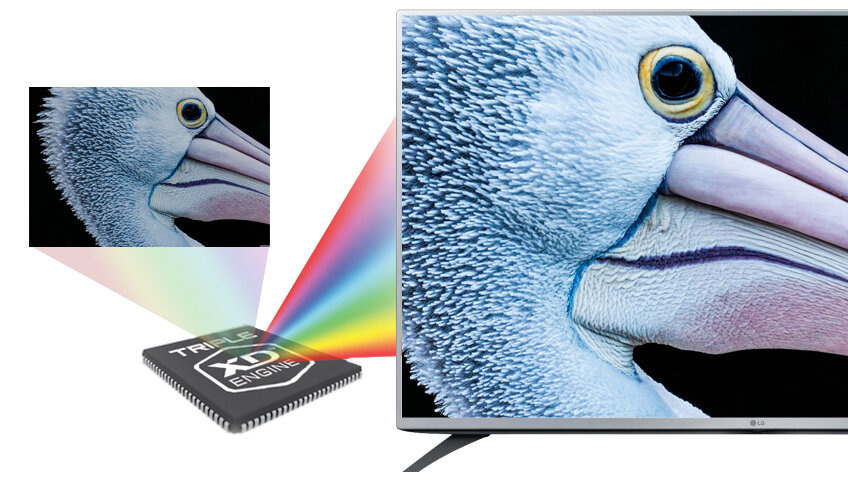 Tivi LG 43 inch 43LF540T