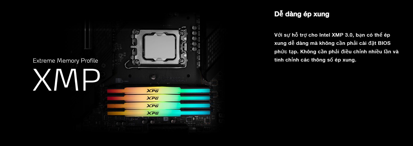 Ram Desktop Adata RGB