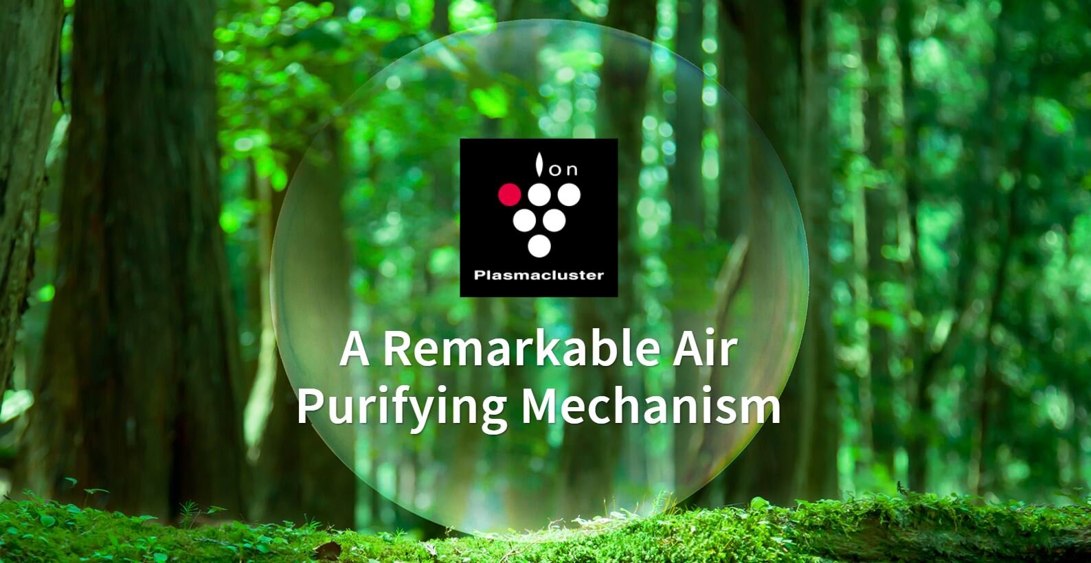 Máy lọc không khí tạo ẩm Sharp KC-G60EV-W_5