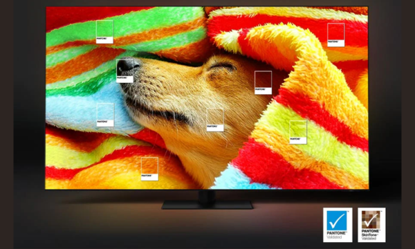 Smart Tivi QLED Samsung 4K 75 inch QA75QE1CAKXXV - pantone