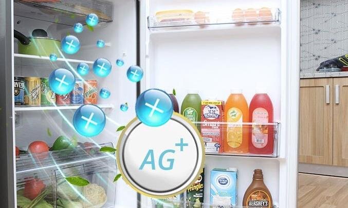 Tủ lạnh Inverter Panasonic NR-BL268PSVN 238 Lít Tủ lạnh Inverter Panasonic NR-BL268PSVN 238 Lít