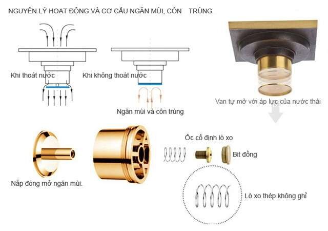 Phễu thoát sàn bằng đồng 10x10cm Kanly