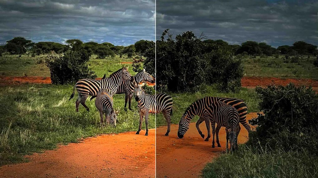 Google Tivi QLED TCL 4K 65 inch 65C69B - Ai-Scene Google Tivi QLED TCL 4K 65 inch 65C69B - Ai-Scene