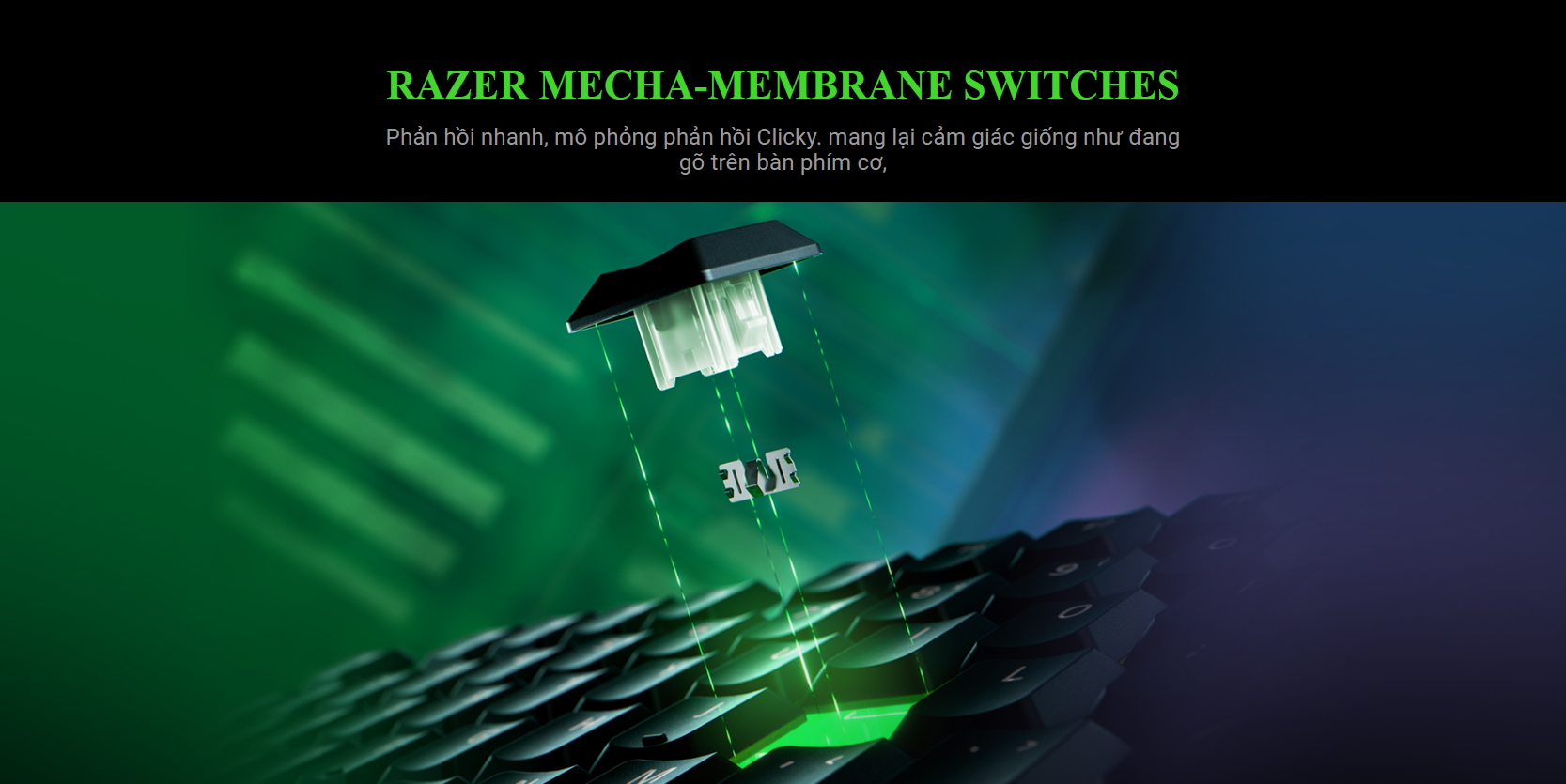 Bàn phím game Razer Ornata V3-Low Profile (USB/RGB) (RZ03-04460100-R3M1) 3