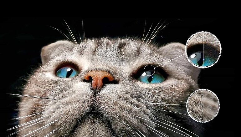 Google tivi TCL QLED 4K 65 inch 65C745 công nghệ màn hình