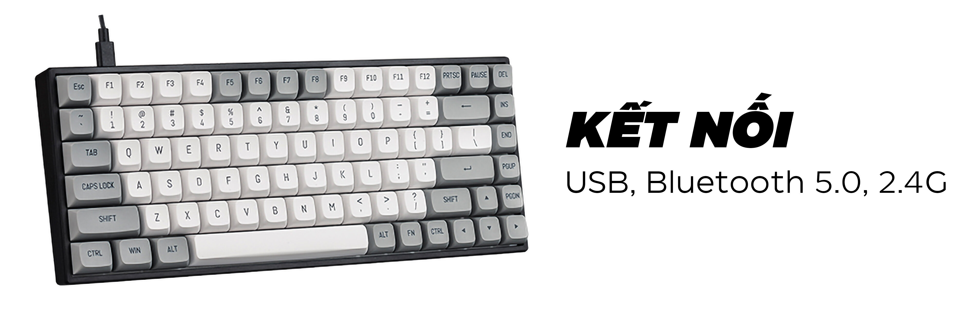 Bàn phím cơ không dây Edra EK384W V2 (USBC/PBT/Bluetooth/3mode)