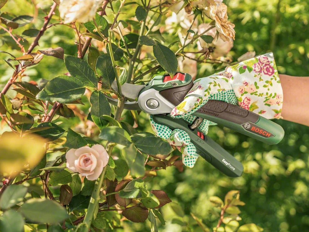 Kéo cắt cành hoa hiệu quả Kéo cắt cành Bosch 06008B2100