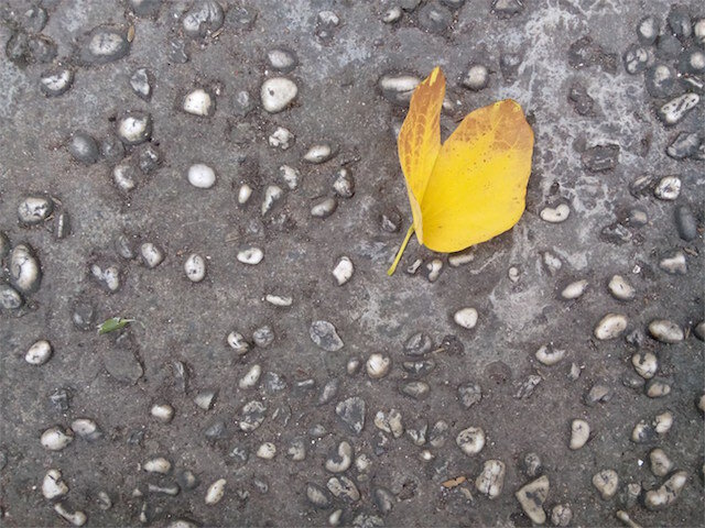 Điện thoại OPPO Joy 3