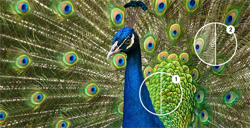 Máy chiếu EPSON EH-TW650 - Full HD (1920 x 1080)