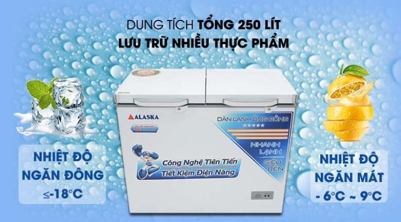 Tủ đông Alaska 2 ngăn 250 lít BCD3068C