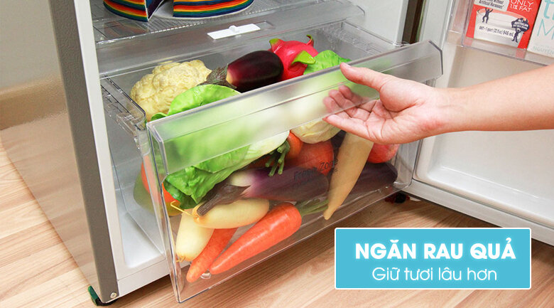 Tủ lạnh LG 189 lít GN-L205PS Tủ lạnh LG 189 lít GN-L205PS