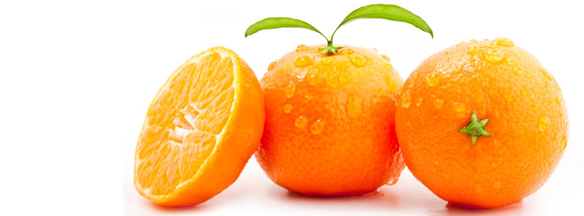 Máy ép trái cây Philips HR1823