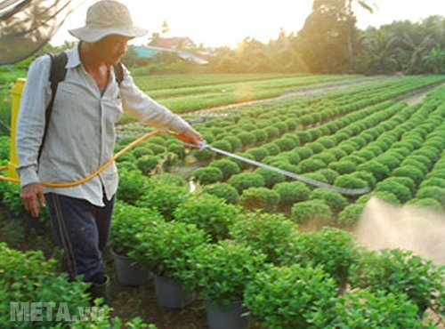 Bình xịt điện Pona PN20