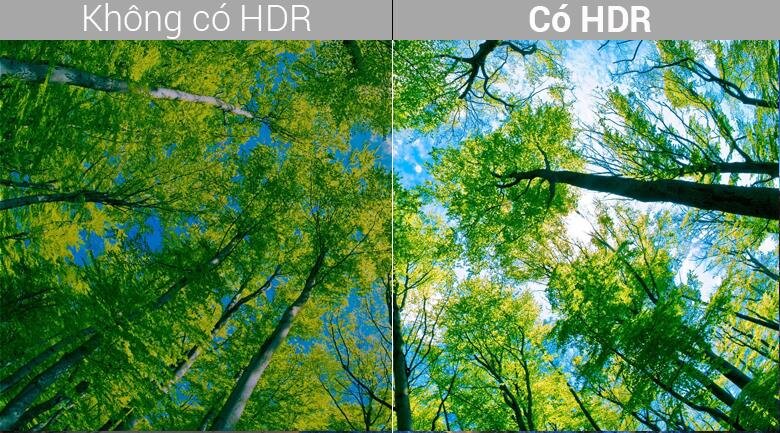 Tivi OLED Sony 55 inch 55A8F, 4K HDR, Smart Tivi 4K HDR