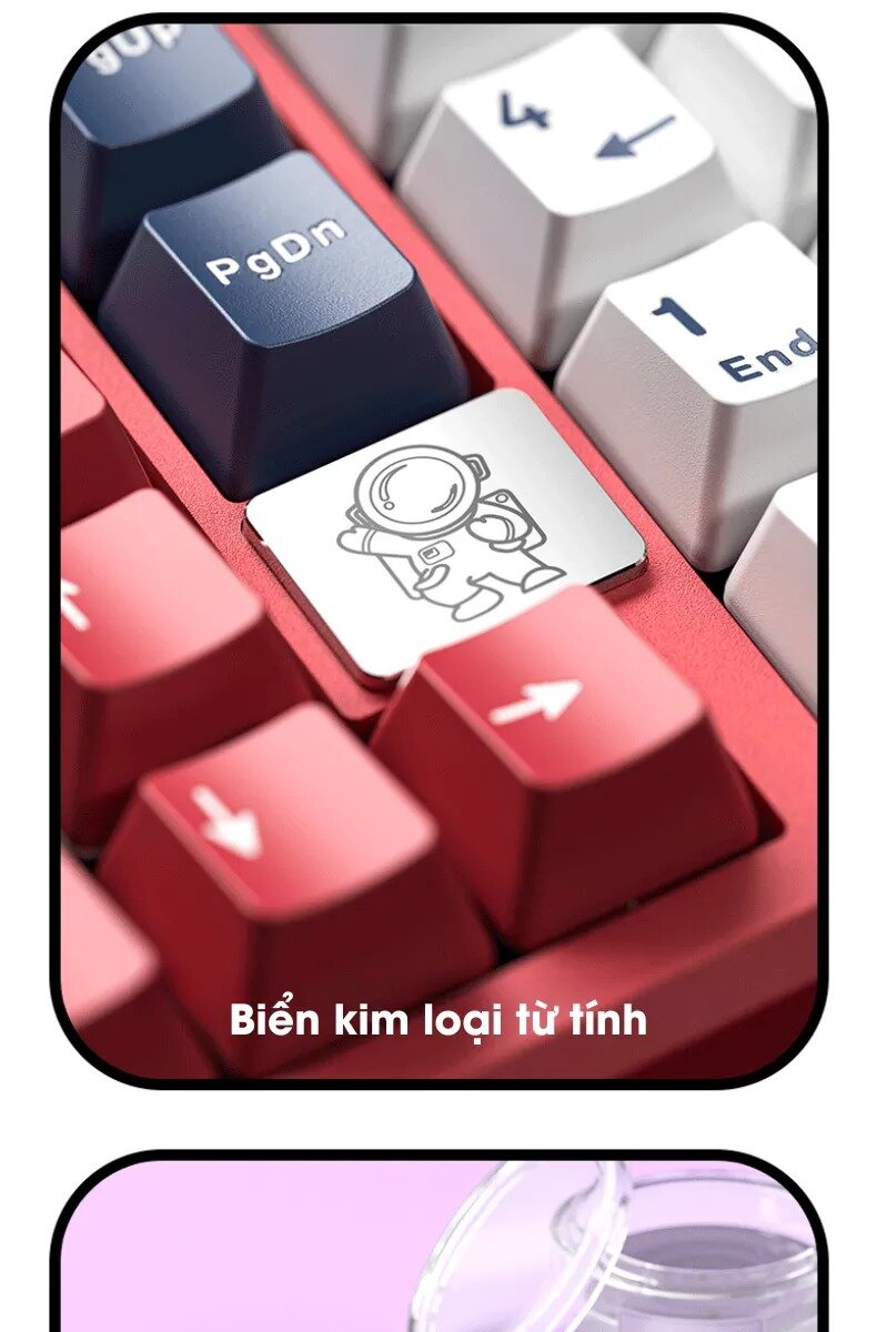 Bàn phím cơ LEOBOG Hi98 (Trắng / White dragon switch) 19