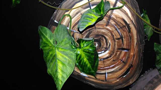 Điện thoại Asus Zenfone Max