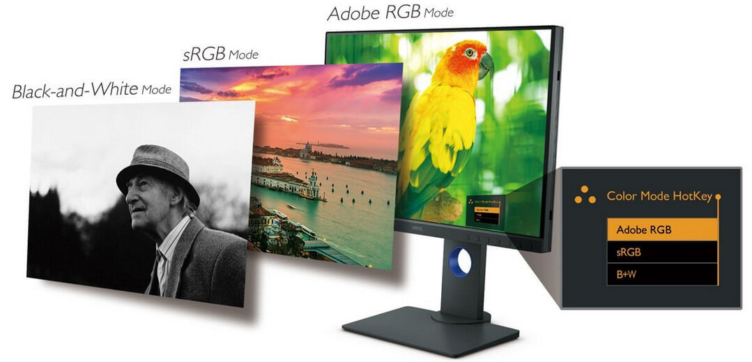 Màn hình BenQ SW240 24.0Inch IPS