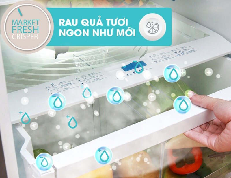 Tủ lạnh Electrolux 335 lít EME3500SA Tủ lạnh Electrolux 335 lít EME3500SA